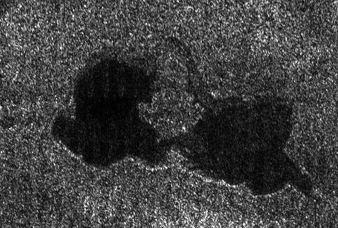 Lacs sur Titan, vus au radar par Cassini. Source : NASA/JPL